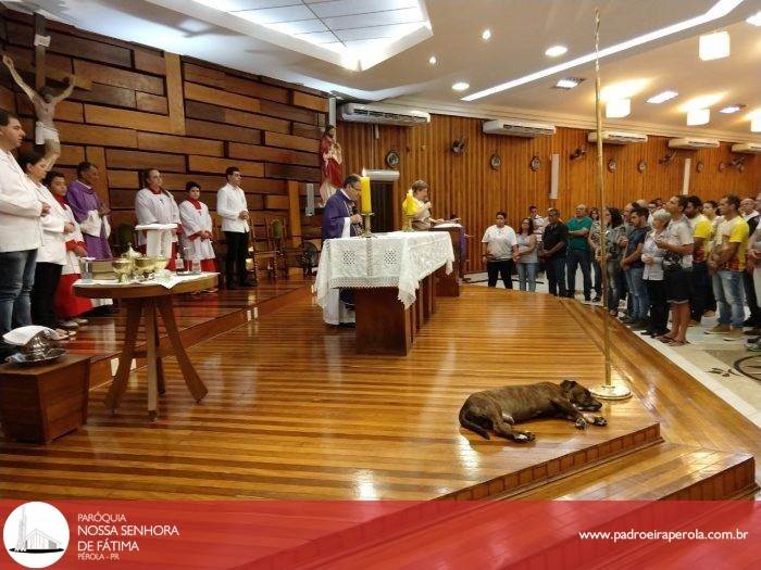 Catecúmenos receberam o Rito de Eleição durante a Celebração Eucarística 4